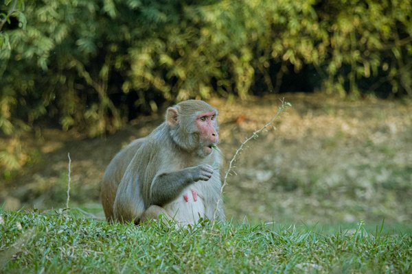 Obtenez votre carte grise à nîmes rapidement et facilement
