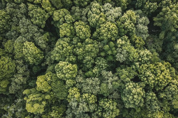 Découvrez les nouvelles innovations en technologie et sciences